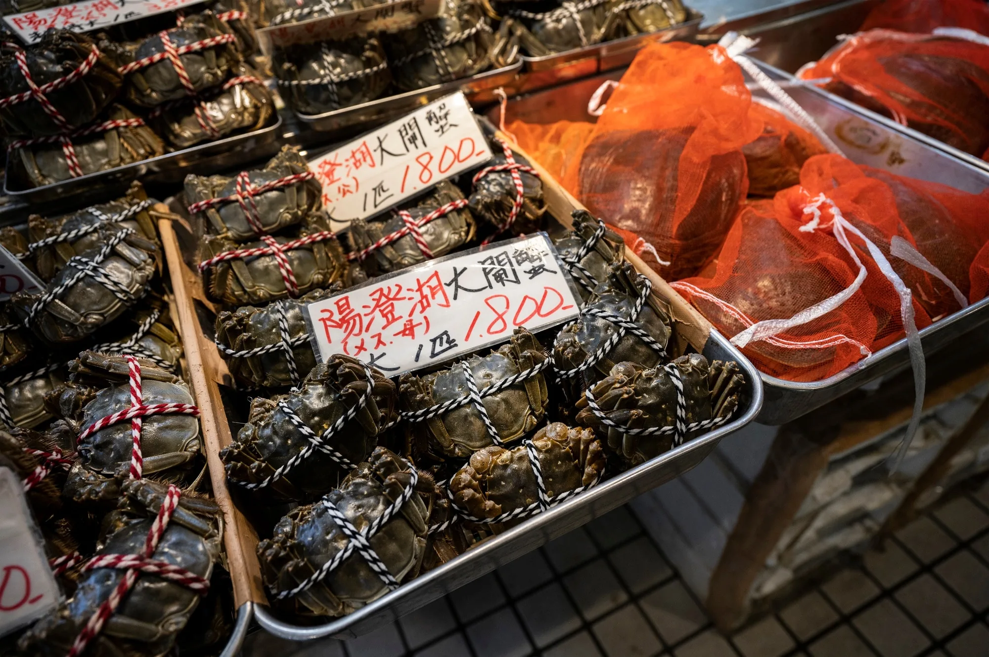 カウンターたこ焼きセット